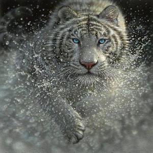 Meet your Posher, Cheryl